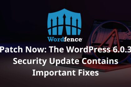 The WordPress 6.0.3 Security Update Contains Important Fixes