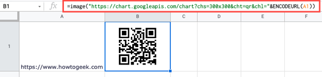 Image function for a web link QR code